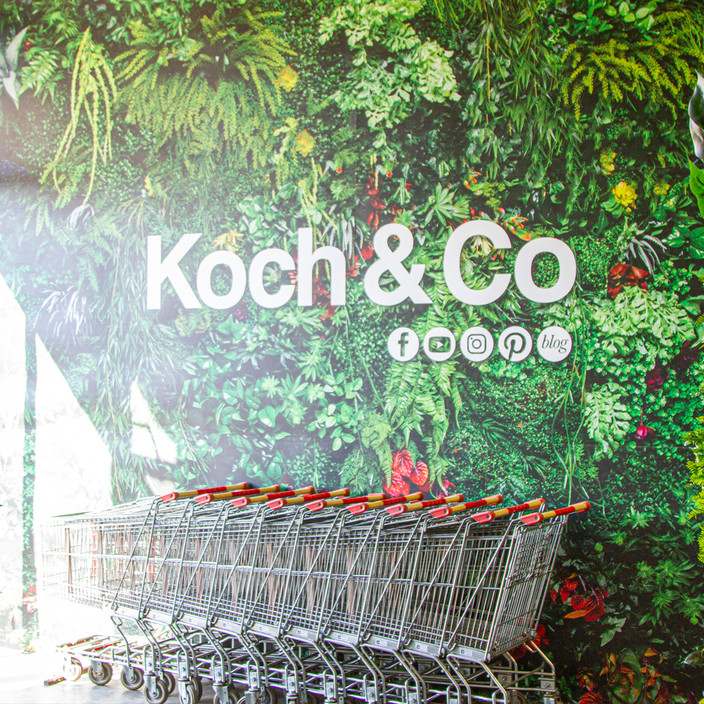 KOCH & Co Pty Ltd