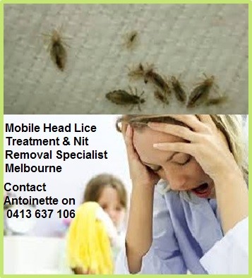 ITCH NO MORE - Specialized Head Lice Treatment Service