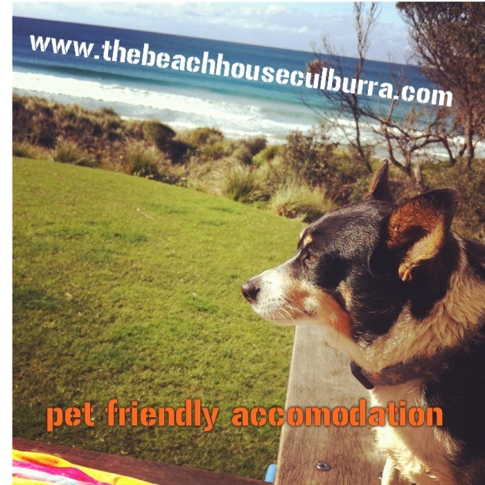 The Beach House Culburra