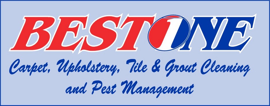 Best 1 Cleaning & Pest Control