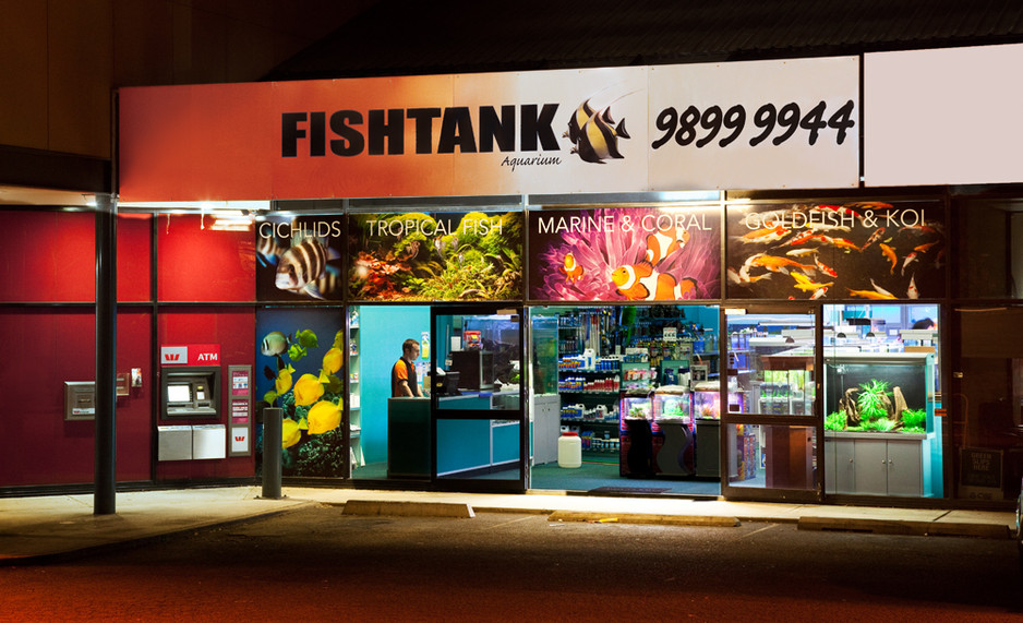 Fishtank Aquarium
