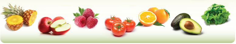 Wilsons Fruit & Vegetable Pty Ltd